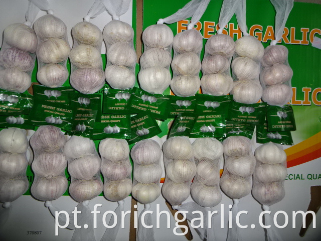 Fresh White Garlic Crop 2019